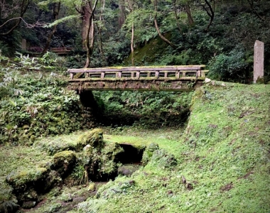 A walk through Kamoyama Park・Bezaubernd grün, Kamoyama-Park