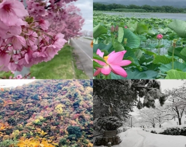 Running Through the Seasons in Niigata