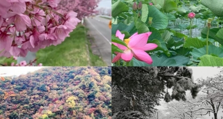 Running Through the Seasons in Niigata