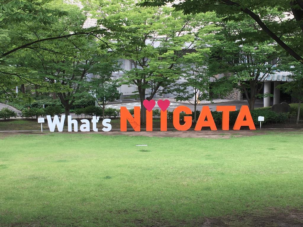 whats niigata